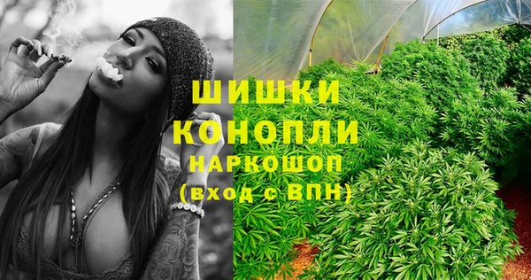 PSILOCYBIN Верхний Тагил